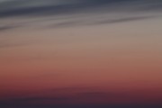 IMG_1634-1.jpg