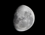IMG_4829.jpg