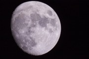 IMG_6766.jpg
