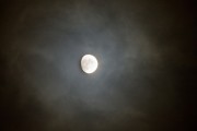 IMG_6784.jpg