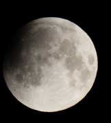 IMG_0543.jpg