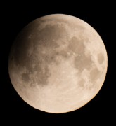 IMG_0541.jpg