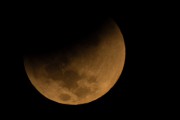 IMG_0557.jpg