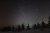 DSC05968.jpg
