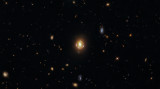 potw2132a.jpg