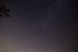 IMG_9270.jpg