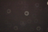 предфокус_180423i.jpg
