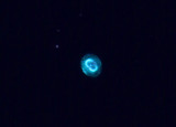 NGC 7662.jpg