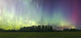 IMG_6235-2Panorama12.jpg