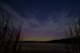 IMG_6331.jpg