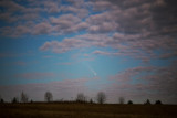 IMG_6503.jpg